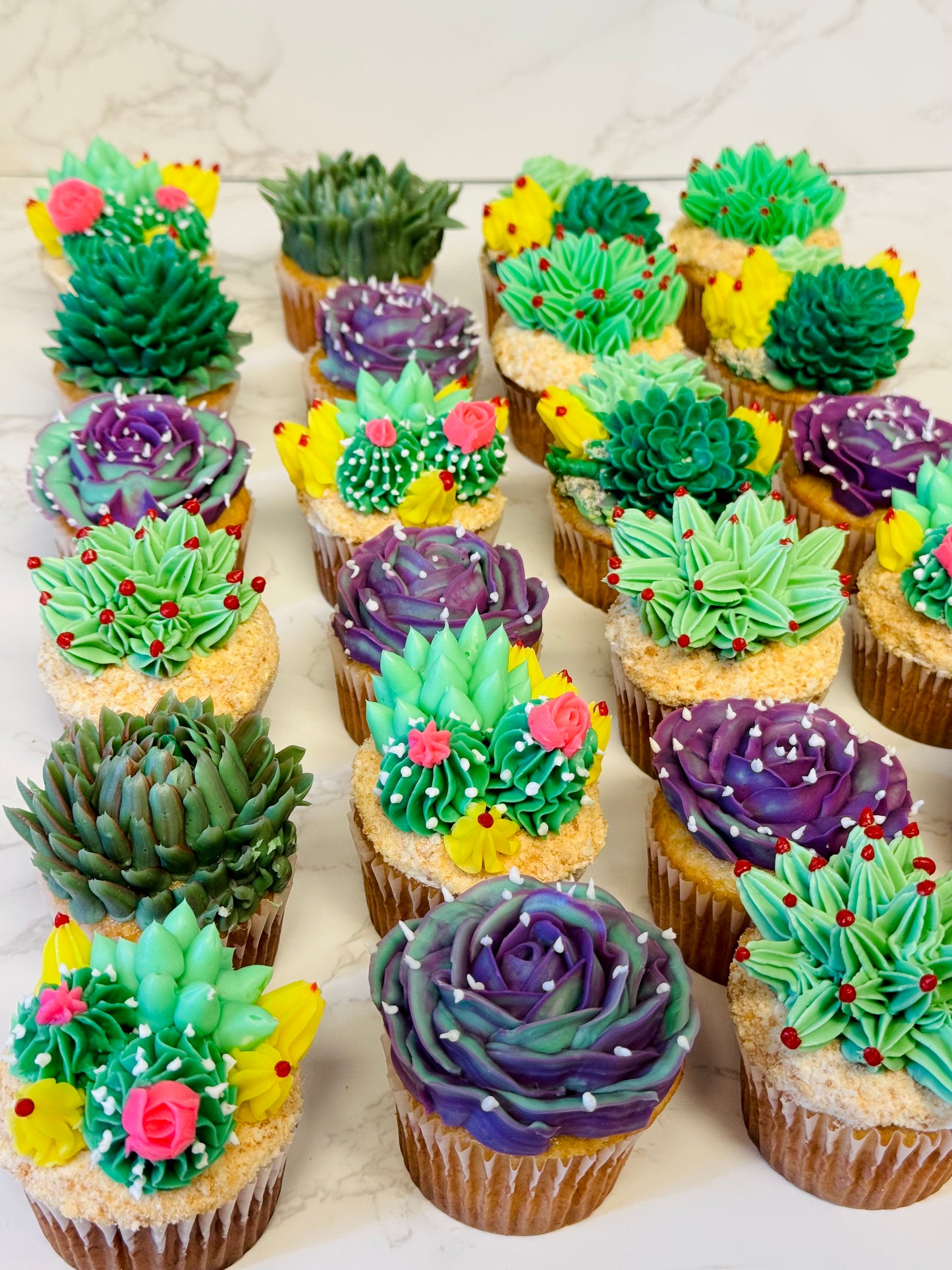 Succulent cupcakes