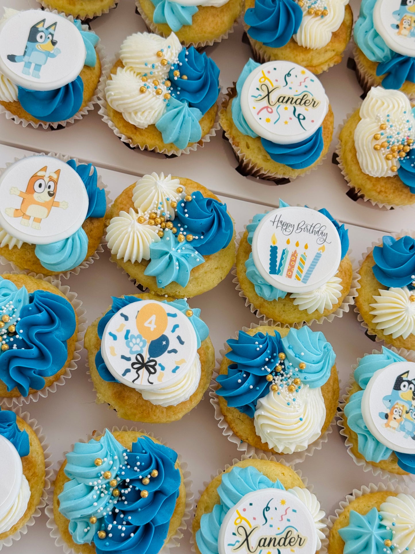 Bluey Cupcake