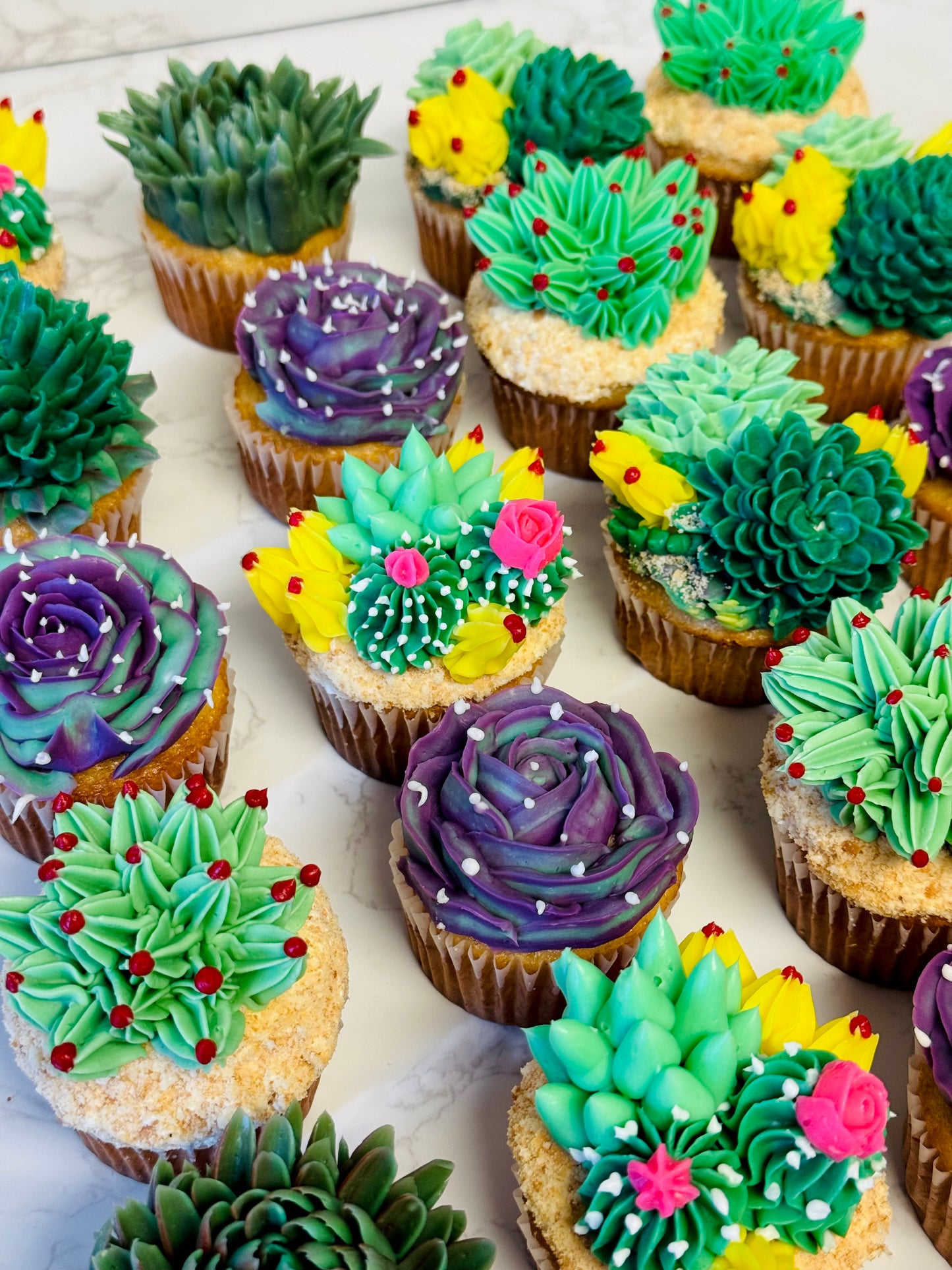 Succulent cupcakes
